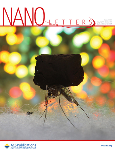NANO letters cover